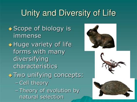 Ppt Biology And The Tree Of Life Powerpoint Presentation Id1757429