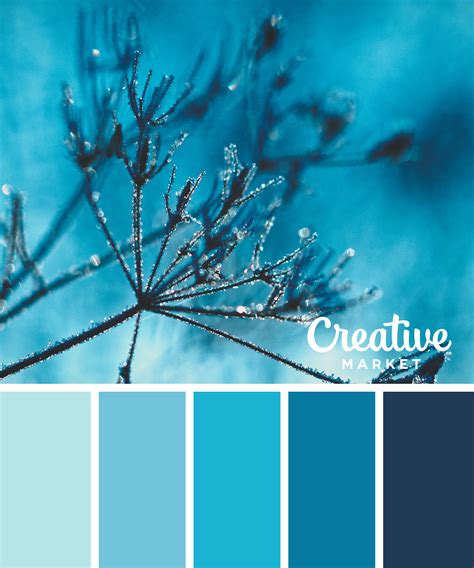 15 Downloadable Color Palettes For Winter Creative Market Blog