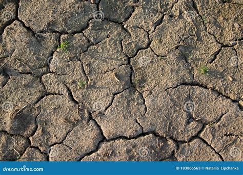 Dried Land Drought Cracks In The Earth Lifeless Nature Stock Image