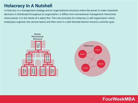 what is holacracy and why it matters in business fourweekmba organizational structure self