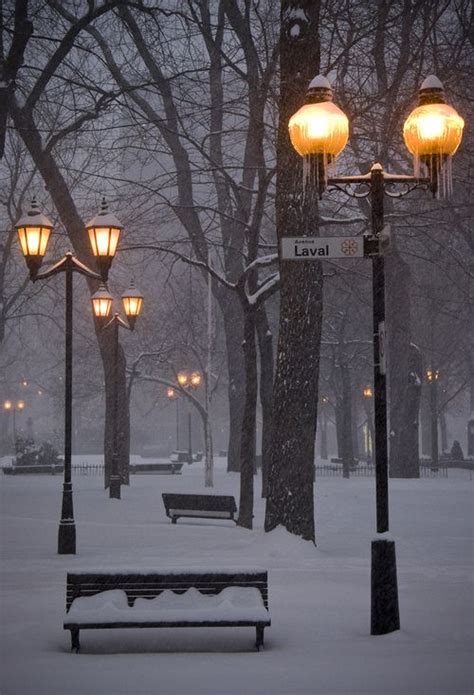 Charming Photos Of Winter Scenery Winter Snow And Street Lamp