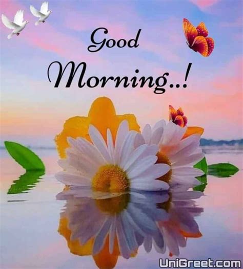 Download the perfect good morning love pictures. 100 Beautiful Good Morning Images For Whatsapp Free Download