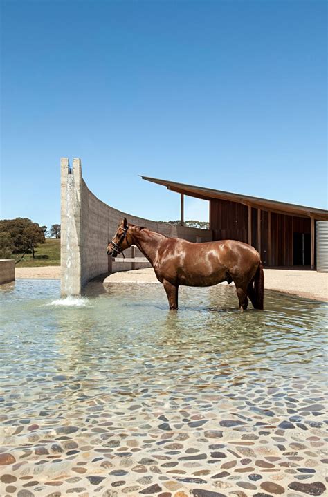 Equestrian Centre Australia Seth Stein Architects