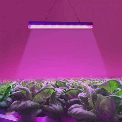 Best light for growing plants taotronics grow light review, led vegetation lights, best these days, among hydroponic gardening enthusiasts, grow light for plants is a very hot topic. T5 4.8W 24 LEDs LED Plant Growth Light Greenhouse Light ...