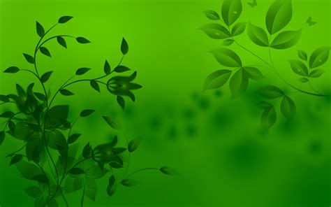 Green Green Hd Wallpapersgreen Leaves Hd 1080p Wallapper Green