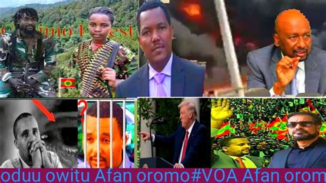 Oduu Hatataamaa Voa Afan Oromo Tunutiimaa Jul152020 Youtube