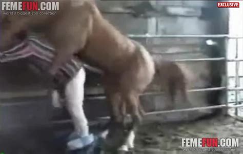 Man Gets Fucked By A Horse In Insane Zoophilia Scenes Caught On Camera