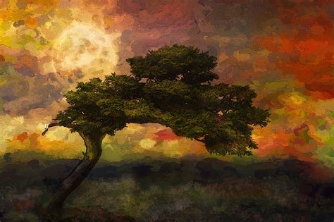 Nature Landscape Trees Artwork Painting Colorful Wallpapers Hd