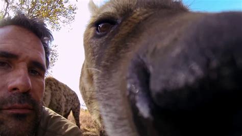 Gopro Lions The New Endangered Species Dailymotion Video