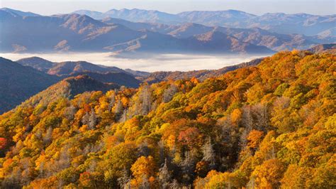 Great Smoky Mountains Nationalpark City Pass 2021 Top
