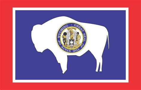 50 State Flags Of The Usa 1