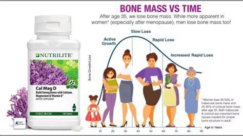Essential Bone Building Nutrients Cal Mag D Plus