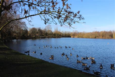 Needham Lake And Nature Reserve Visit Suffolk