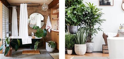 Las plantas artificiales de interior son uno de los mejores elementos de decoración que hay actualmente. Decora con plantas verdes tu cuarto de baño | Decoora