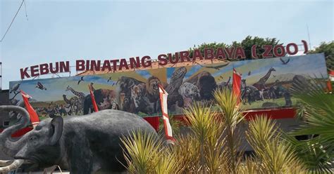 Tiket Masuk Kebun Binatang Surabaya 2016