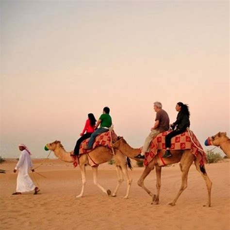 Desert Safari Dubai Dubai Project Expedition