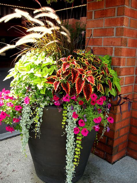 Beautiful Outdoor Flower Pot Arrangements Pot Design Ideas