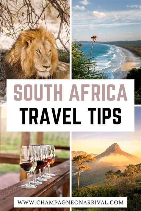 The South Africa Travel Tips Banner With Images Of Wine Glasses And