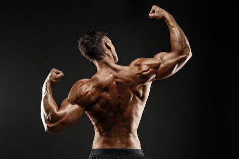 Be sure to visit the guide for more context and information about back muscles anatomy bodybuilding, or read some of our other health & anatomy posts! Best Bodybuilding Supplement Stack | REVIEW | Build ...