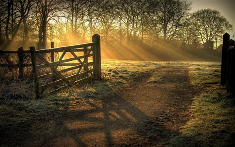 Fence Sunlight Trees Gate Hd Wallpaper Nature And Landscape