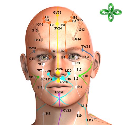 Head Acupuncture Points On Front Face With Meridians