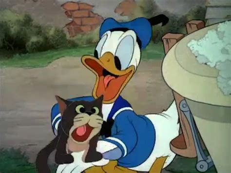50 X Donald Duck Cartoons Over 6 Hours Non Stop Duck Cartoon