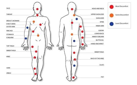 Maybe you would like to learn more about one of these? What is the pain level of an ankle tattoo versus a hip ...