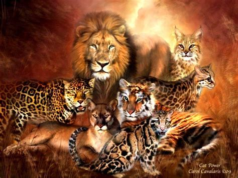 #drawthisinyourstylechalleng #nasturtium #big cat #leopard #mountain lion #fantasy #draw this in your style. Big Cats Wallpapers - Wallpaper Cave