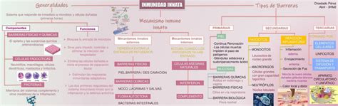 Sistema Inmune Mapa Conceptual Sistema Inmune Inmunid Vrogue Co