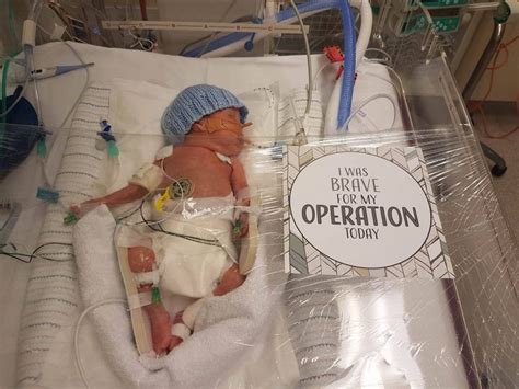 Mom Creates A Beautiful Way To Celebrate Preemie Milestones