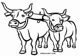 Coloring Ox Oxen Yoke Clip Getdrawings Getcolorings sketch template
