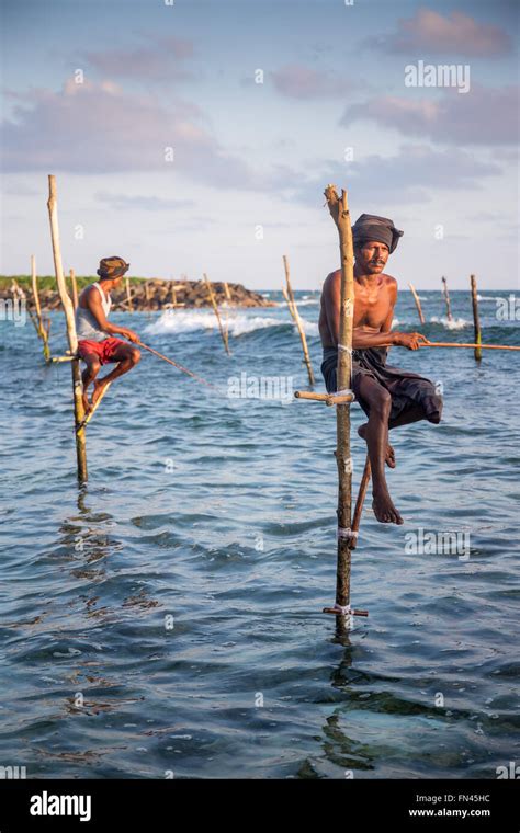Sri Lankan Stilt Fishing Sri Lankan Stilt Fishermen At Sunset Koggala