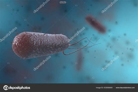 Bacillus Gram Positive Spore Forming Bacterium Form Rods Rods