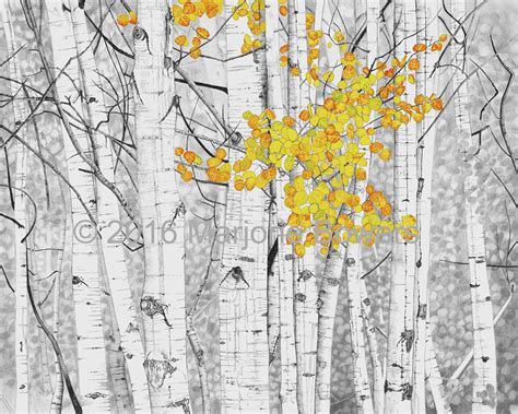 Aspen Autumn Pencil And Inks In 16 X 20 Large Giclee Unmatted