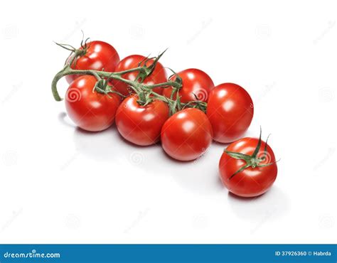 Red Cherry Tomatoes Stock Photo Image Of Ingredient 37926360