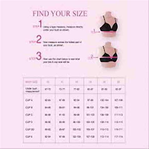 List Pictures All Bra Sizes In Order With Pictures Completed