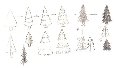 How To Draw Trees Pine Tree Drawing Tree Sketches Tree Drawing