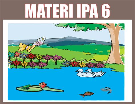 Posted on oktober 6, 2013, in soal uts ipa and tagged soal uts ipa kelas 1 s.d. Materi IPA Kelas 6 pdf Semester 1 dan 2