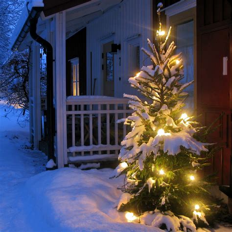 Christmas Tree In Snow Alingsås Sweden Please No Comment Flickr