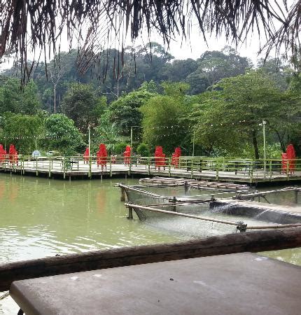 By clicking the accept button you confirm that you are above the age of consent in your country and you agree with our. Veg Fish Farm Thai Restaurant, Kuala Lumpur - Restaurant ...