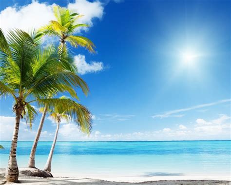 Summer Beach Paradise Wallpapers 4k Hd Summer Beach Paradise