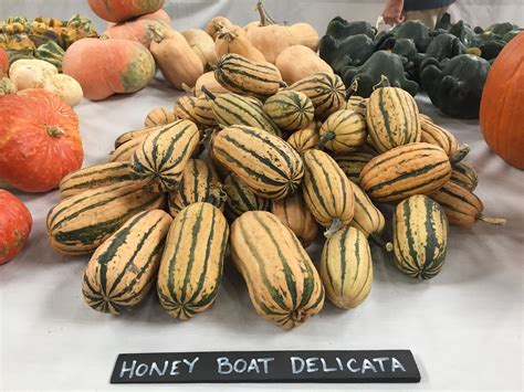 1¼ pounds delicata or acorn squash 2 tablespoons honey Honey Boat Delicata | Food, Vegetables, Honey