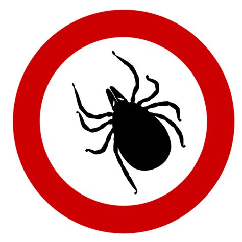 Tick Insect Png Transparent Picture Png Mart