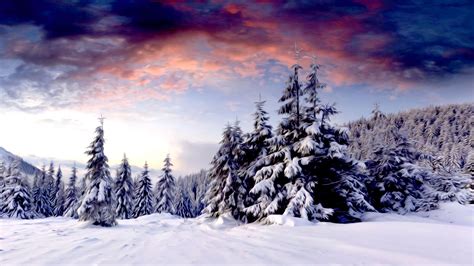 Winter Scenery Free Desktop Wallpapers For Widescreen
