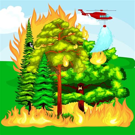 Forest Fire Fuego En El Daño Del Paisaje Del Bosque Desastre De La