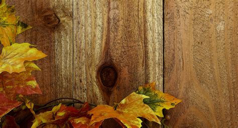 Wood Fence And Fall Leaves Background Free Stock Photo Public Domain
