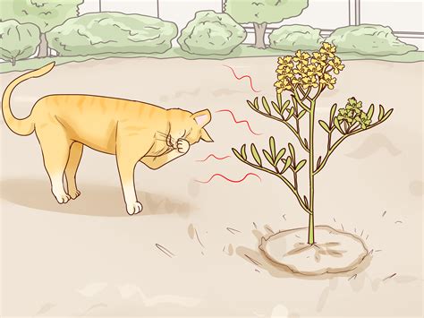 What can i use to keep the bobcats and coyotes out of my backyard? 3 Ways to Keep Cats Out of Your Yard - wikiHow