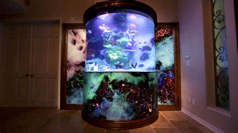 The 20 Most Lavish Home Aquariums In The World Home Aquarium Lavish