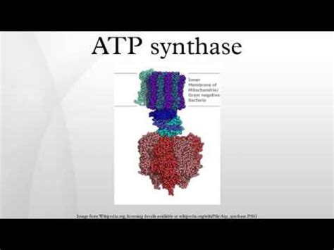 Enjoy live tennis in 1080 hd, plus over 7,000 full match replays and thousands of hours of highlights on demand. ATP synthase - YouTube