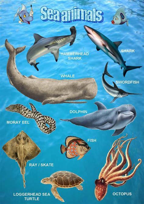 Sea animals, poster 1 | Sea animals, Animals, Animal activities
